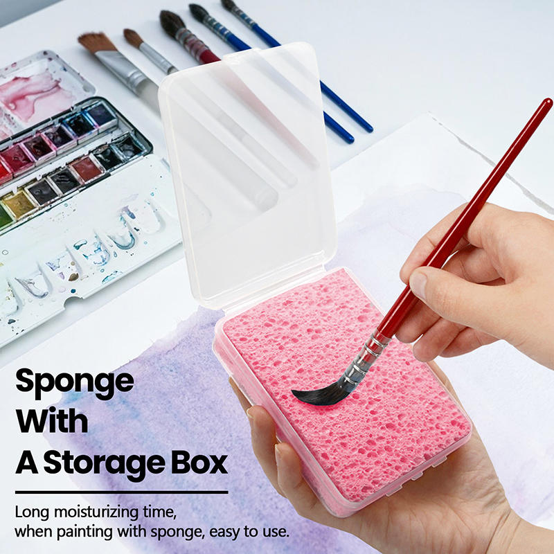 Губка для очистки акварельных  – обзор и цена Eco Sponge